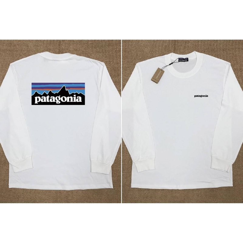 Sweatshirt Patagonia plusieurs coloris