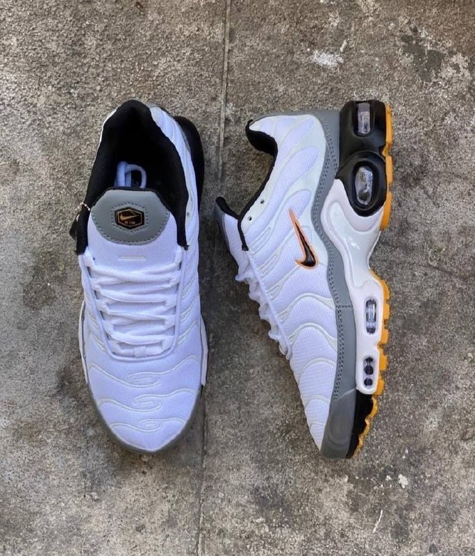 Baskets Nike Air Max Plus TN blanches et grises