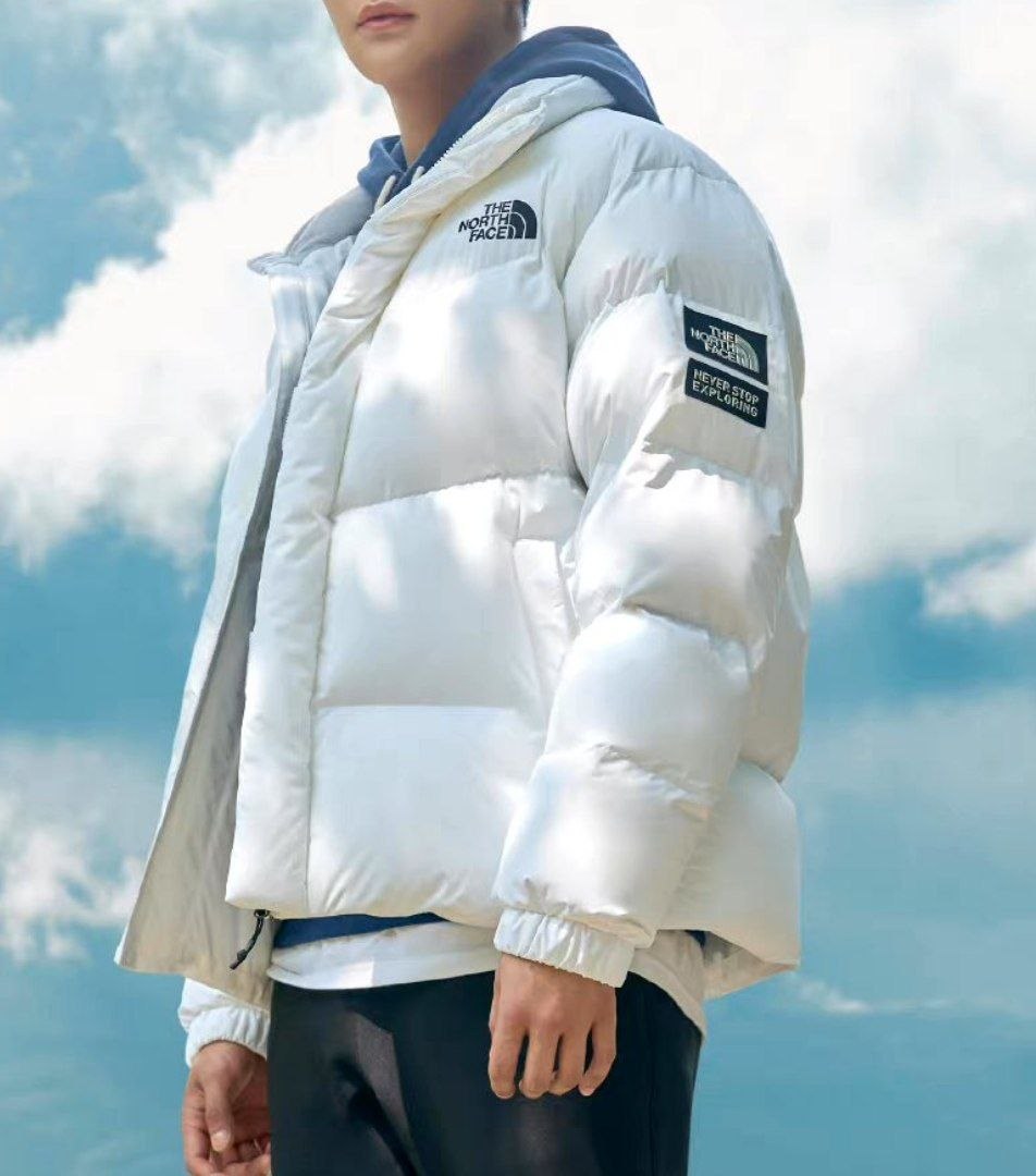 Manteau The North face