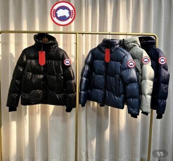 Canada Goose
