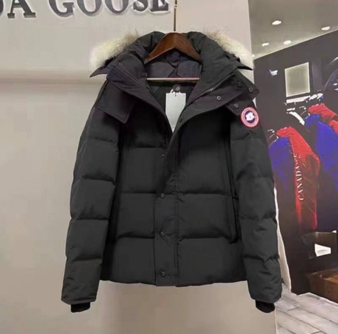 Canada Goose