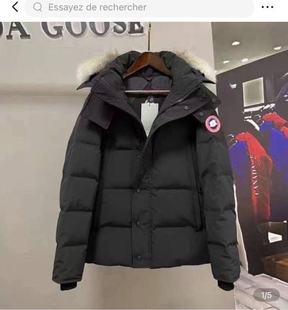 Canada Goose