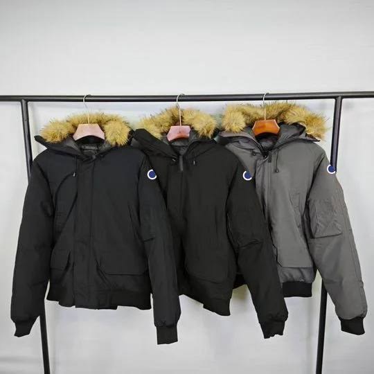 Canada Goose