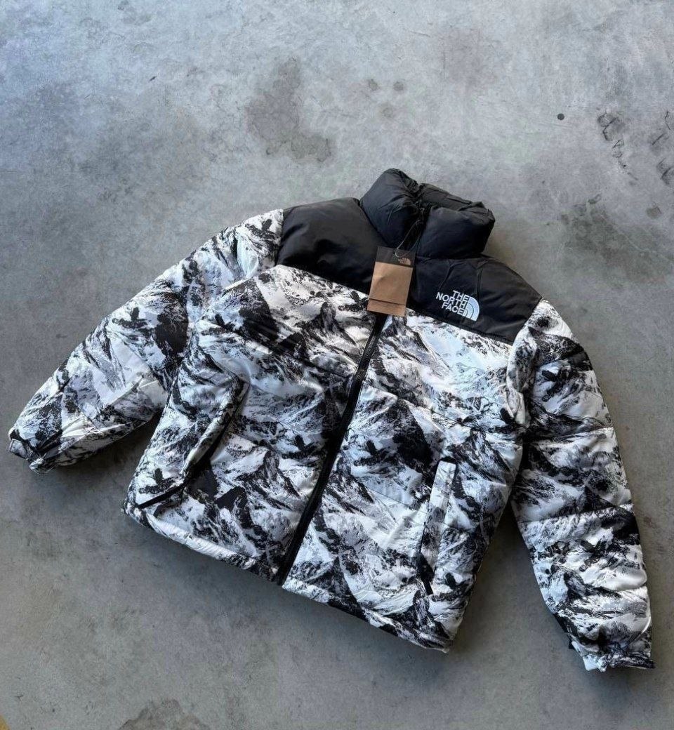 Manteau The North face