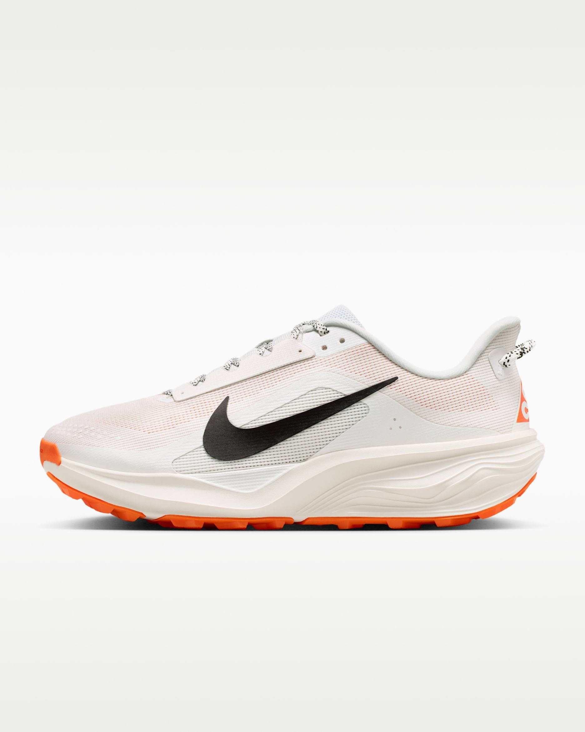 Acg Nike Pegasus