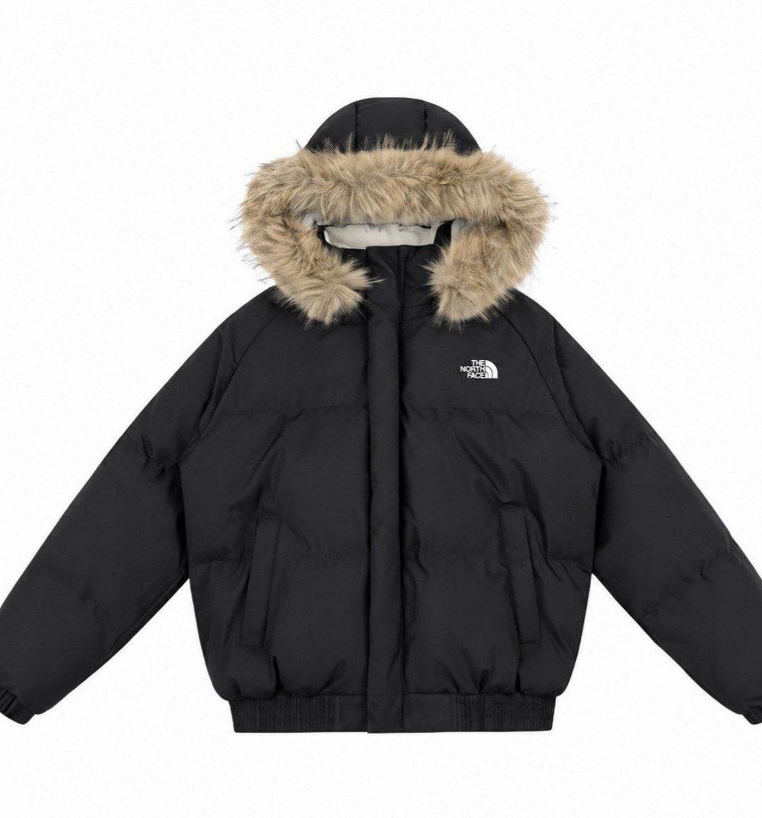 Manteau The North face