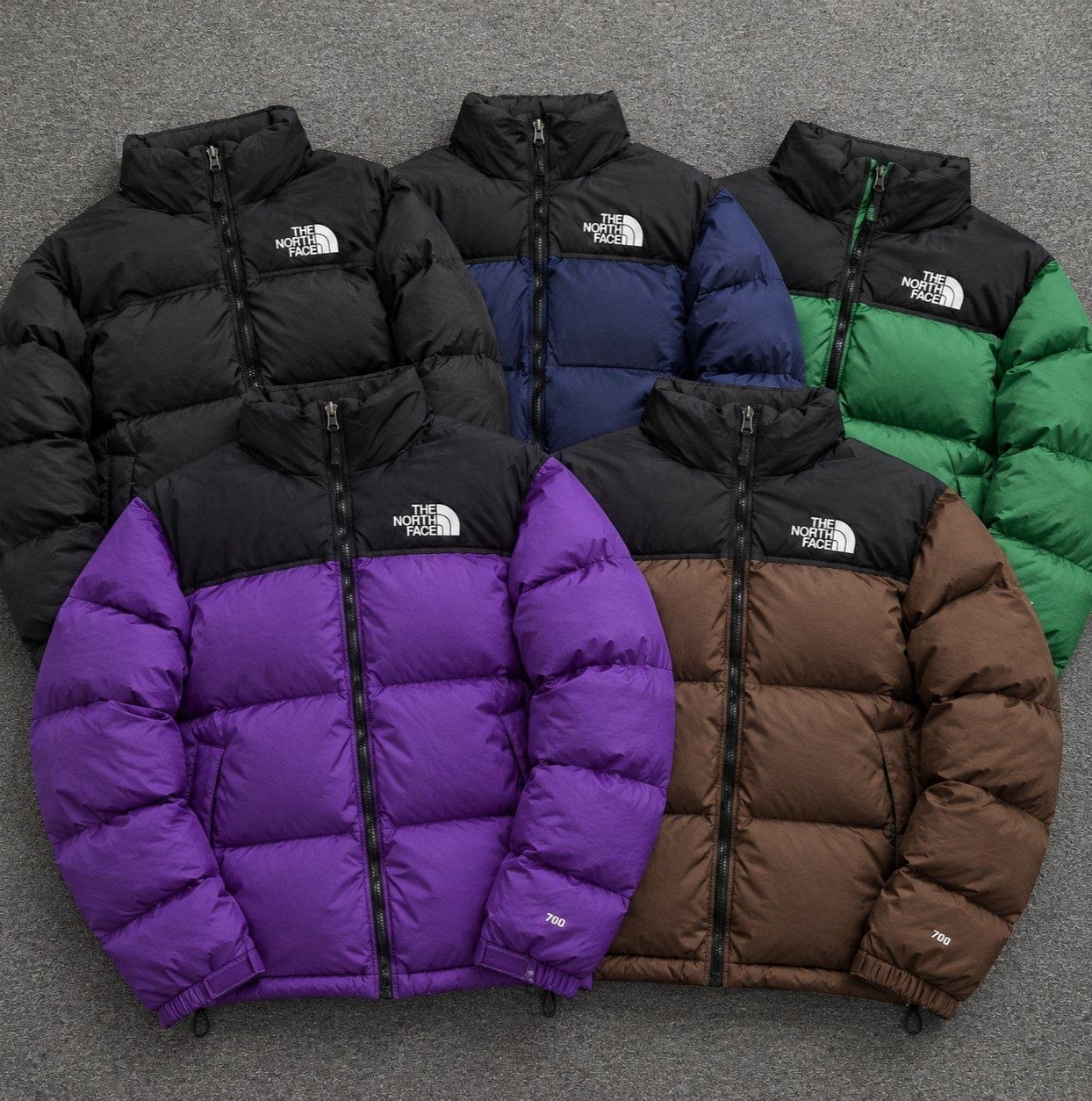 Manteau The North face