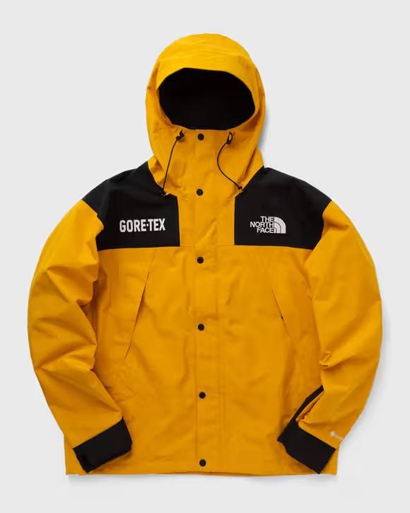 The North Face X Gore-tex