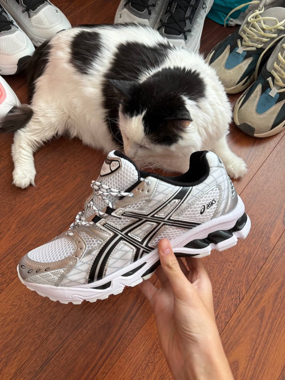 ASICS Gel Nimbus ‼