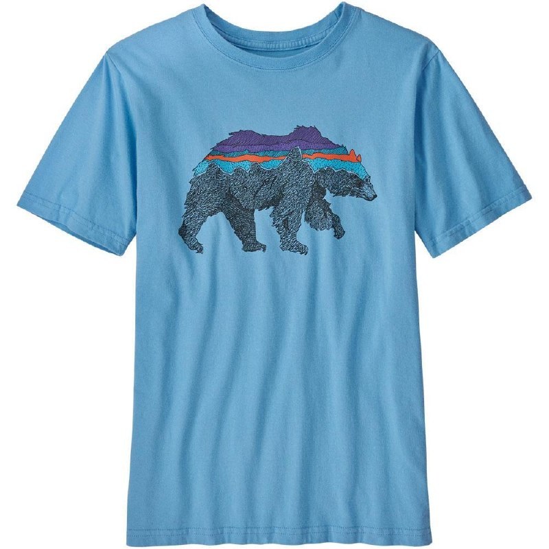 Patagonia T-shirt